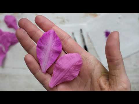 Видео: Мастер - класс "Клематис из холодного фарфора"