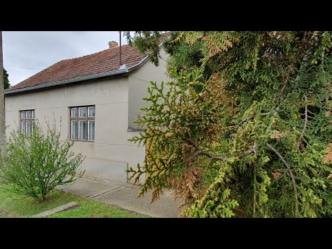 Видео: #домвсербии Pačir. Симпатичный дом 🏠 на участке в 12 соток.