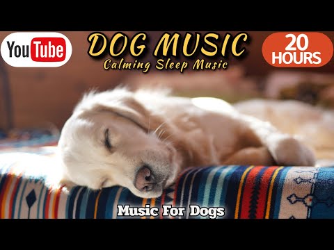 Видео: 20 часов любимой музыки собак🐶💖Музыка для сна собак 🐶🎵 Музыка для снятия беспокойства при разлуке🎵