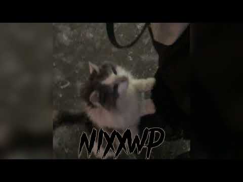 Видео: рандомный плейлист ускоренных песен | Часть 8