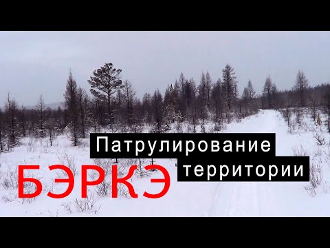 Видео: Патрулирование территории. Волки не дремлют.