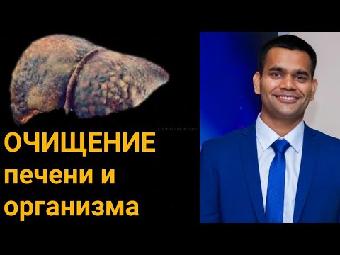 Видео: Очищение печени  + чистка организма | Чистка печени в домашних условиях | Доктор Вивек