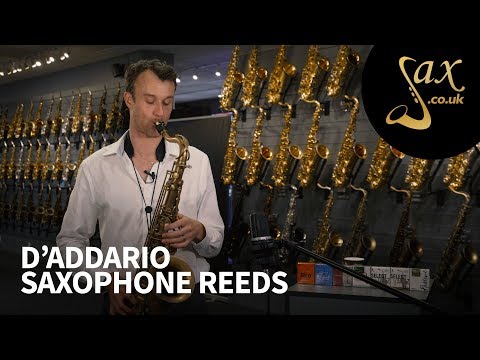 Видео: Сравнение тростей для саксофона D'Addario!