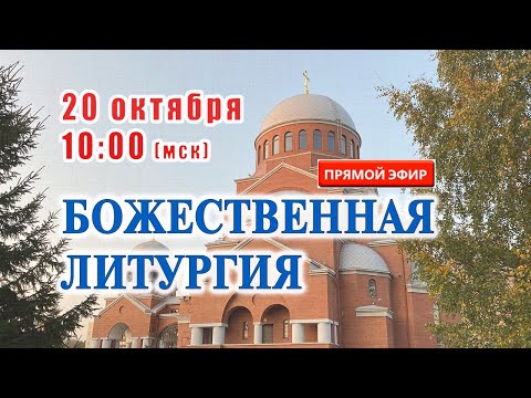 Видео: Прямая трансляция: Божественная литургия. 20 октября 2024