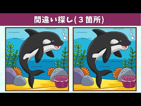 Видео: Найдите 3 отличия | Иллюстрация Версия #807