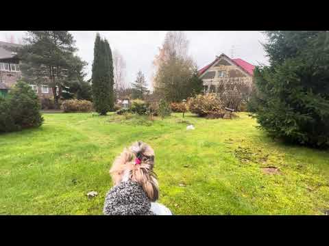 Видео: Медитаци на изменения в лучшую версию себя 💞🫶🥰