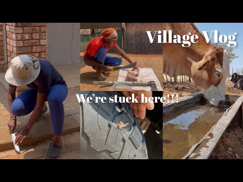 Видео: Village Vlog | Мы застряли на севере | Намибийский ютубер