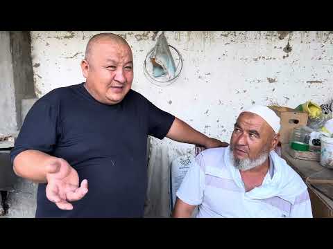 Видео: 28та юткан хурозни эгаси доктор тога келди