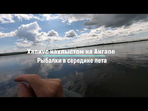Видео: Хариус нахлыстом на Ангаре Две рыбалки в середине лета часть 1 27.07.22