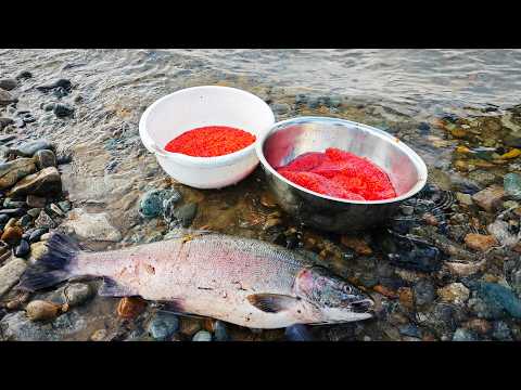 Видео: 💥КРАСНАЯ ИКРА 💥РЫБАЛКА на  кижуча и хариуса. Магадан, часть 2