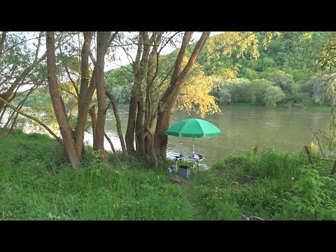 Видео: риболовля на Дністрі