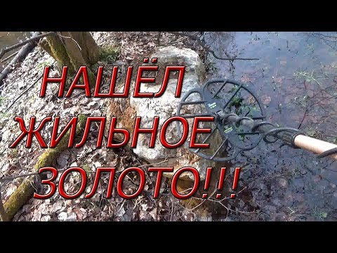 Видео: Нашёл жильное золото!!! Содержание шикарнейшее!!!