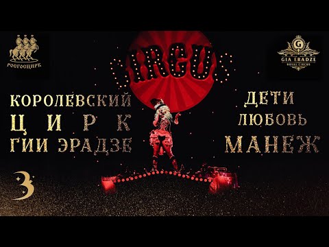 Видео: Ведущие артисты циркового шоу «Бурлеск»: «Цирк — это образ жизни»/ Жизнь на манеже и история номеров