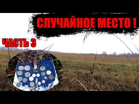 Видео: СКОЛЬКО ВСЕГО МОНЕТ ТАМ БЫЛО! Поиск монет металлоискателем.