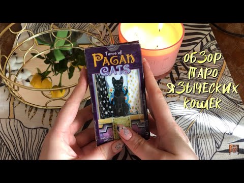 Видео: ОБЗОР таро ЯЗЫЧЕСКИХ КОШЕК ( Tarot of Pagan Cats )🐾