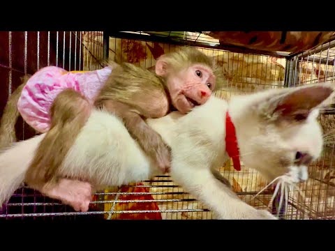 Видео: Я НАКАЗАЛА всех троих Маню, Степу и Басика за погром на кухне)))