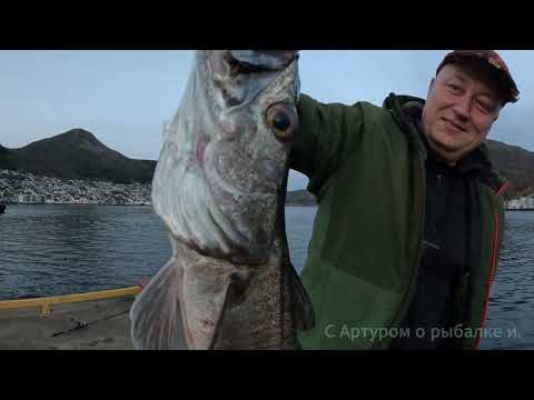 Видео: Гнёт палку как настоящий. Трудовая рыбалка.