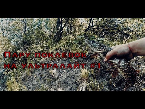 Видео: ПАРУ ПОКЛЕВОК НА УЛЬТРАЛАЙТ #1