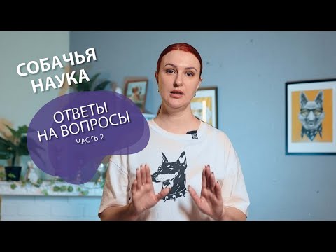 Видео: ОТВЕТЫ НА ВОПРОСЫ - ЧАСТЬ 2. Как отучить щенка кусаться, ставить лапы и прыгать на людей?