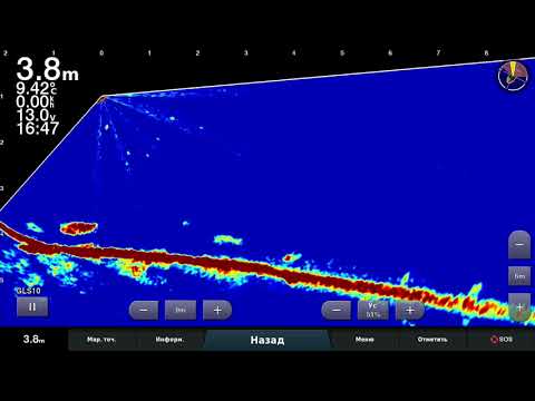 Видео: Я их нашел!  Garmin LiveScope