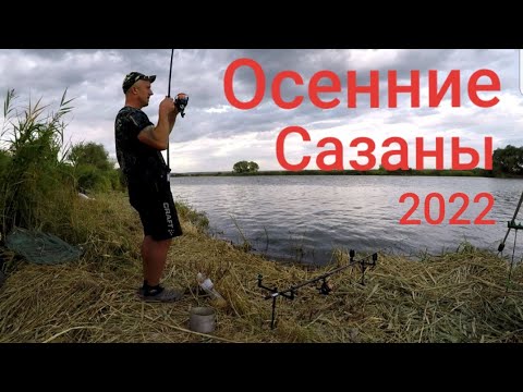 Видео: Маяки/Днестр/Осенняя Рыбалка на Глубоком Турунчуке #рыбалка 2022#рекомендации #карпфишенг