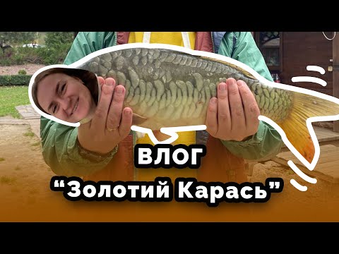 Видео: Влог "Золотий Карась" Про рибалку, день народження Валєрки та котиків. Осінь,природа,друзі, веселощі