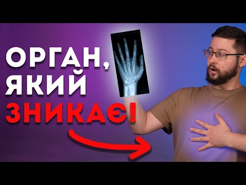 Видео: 5 НЕЙМОВІРНИХ фактів про людське тіло! Клятий раціоналіст та @pidpilnahumanitarka