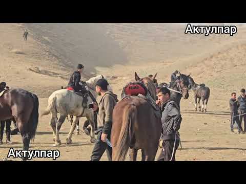 Видео: 19 ноября 2025 г.