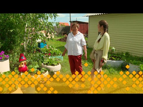 Видео: «Тиэргэн»: оҕуруот аһын үүннэриигэ сүбэлэр (02.07.25)