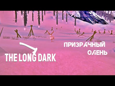 Видео: 52. Призрачный олень ╰(*°▽°*)╯-  The long dark