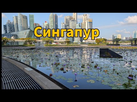 Видео: 4 дня в Сингапуре. Бесплатный кемпинг, сады Марина Бэй и прогулка по городу