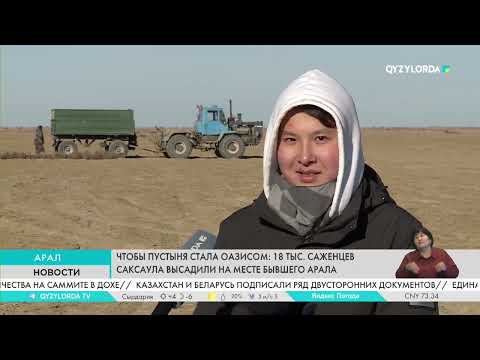 Видео: Чтобы пустыня стала оазисом: 18 тыс. саженцев саксаула высадили на месте бывшего Арала