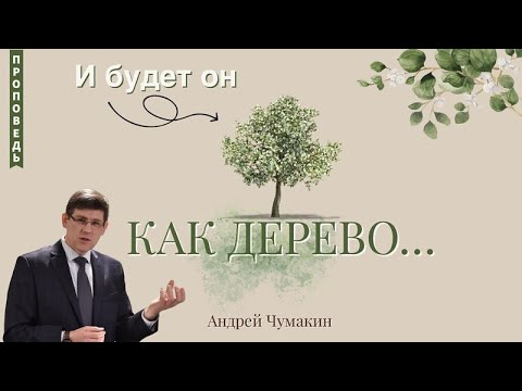 Видео: И будет он как дерево  🌳  Андрей Чумакин 📖 Псалом 1:3