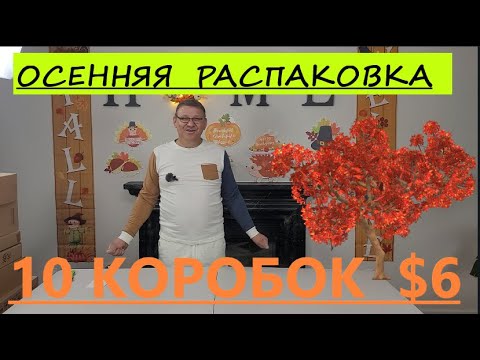Видео: Распаковка Загадочных Посылок - 10 Посылок по 6$ ( Unboxing Mystery Boxes - 10 Boxes for $6 )