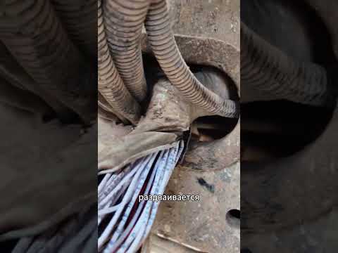 Видео: Shacman не газует. Блог автоэлектрика