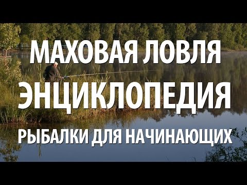 Видео: МАХОВАЯ ПОПЛАВОЧНАЯ УДОЧКА. ЭНЦИКЛОПЕДИЯ РЫБАЛКИ для НАЧИНАЮЩИХ ЛОВИТЬ МАХОВОЙ СНАСТЬЮ