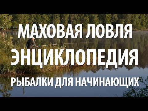 Видео: МАХОВАЯ ПОПЛАВОЧНАЯ УДОЧКА. ЭНЦИКЛОПЕДИЯ РЫБАЛКИ для НАЧИНАЮЩИХ ЛОВИТЬ МАХОВОЙ СНАСТЬЮ