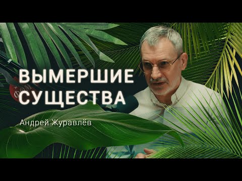 Видео: Вымершие существа. История жизни, сокрытая в недрах. Андрей Журавлев