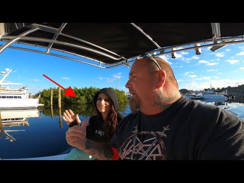 Видео: Быстрая рыбалка с Бэйбом и Хэллоуин в доме Дэвиса