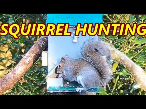 Видео: СРЕДСТВО ДЛЯ БОРЬБЫ С БЕЛКАМИ-ВРЕДИТЕЛЯМИ - ВЫСОКОГО КАЧЕСТВА - HikMicro ALPEX