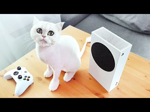 Видео: КУПИЛ XBOX SERIES S / ОБЗОР ПОЛЬЗОВАТЕЛЯ !
