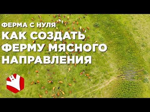 Видео: Экономика фермы | Как стать фермером с нуля | Мясное животноводство