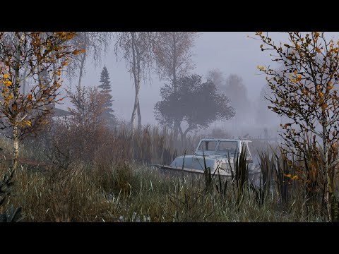 Видео: #12 СТРИМ по Dayz  на пару часиков (VK Видео и Twitch в описании)