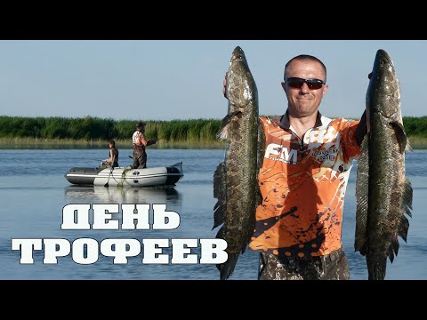 Видео: ЛОВЛЯ ЗМЕЕГОЛОВА.  ДЕНЬ ТРОФЕЕВ. КАЗАХСТАН