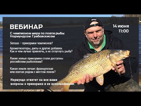 Видео: ВЕБИНАР : Нормундс Грабовскис "Всё о прикормках"