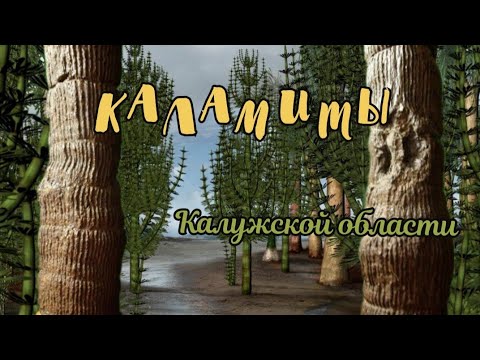Видео: Палеонтология Калужской области. Каламиты. Лимонит. Кремень.