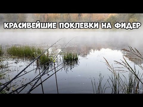 Видео: ТОП Самые красивые загибы на ФИДЕР летом и весной 2025