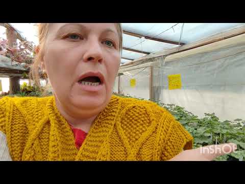 Видео: Мега акция !!! Закругляемся ❗❗❗силы на исходе😥