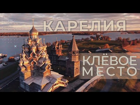 Видео: Сотрудничество Беларусь-Карелия I Производства техники "Амкодор" I Поставка ценных сортов рыбы