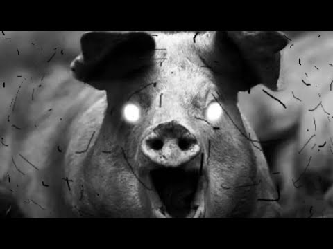 Видео: ПЯТЬ НОЧЕЙ СО СВИНТУСОМ